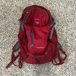 Osprey daylight Plus Daypack Backpack